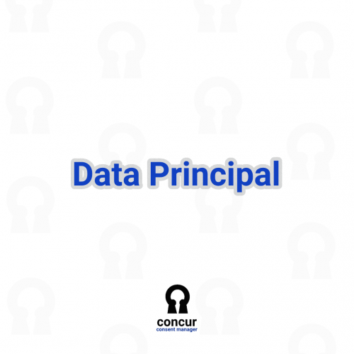 Data-Principal1a1449b289cde5b4.png